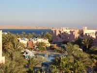 ��� ������