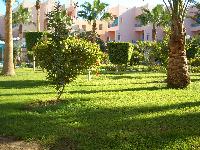 ������� � ���������� :)