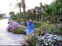 ���-����