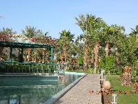 ������ � �����