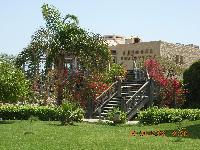 ������� �������� "������"