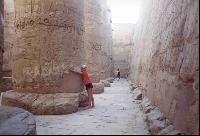 ���������� ����