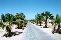 �� ������ �� ����...