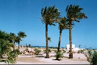 ���������� CoralBeach