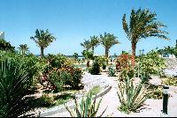 ���������� CoralBeach