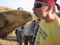 ������� � ���������