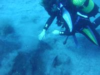 ����� ��� ������� ����