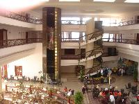 ��� �����