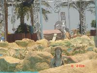 ��� �� ��������...