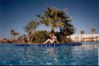 ������� ����� Desert Rose