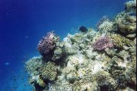 ����� �����!!!