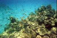 �������� ������� �����!!!