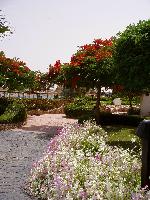 ���������� �����