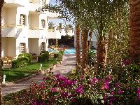 ���������� �����