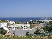 ��� � ������� 56 �������