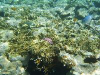 ������ ����� ������� ���������� �����