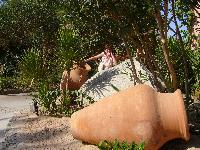 �� ���������� �����