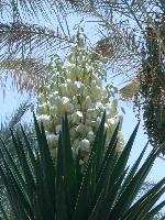 �������� ������ � ��������