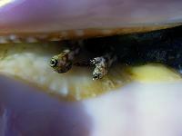 � � ��� �����.... ����� �� ������!