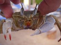 ��������� ����