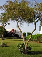 �������������� �� ���������� �����