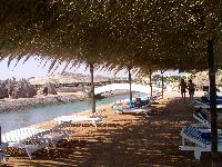 ������ - �����...