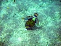 ��������� ��������