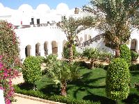 ���������� �����