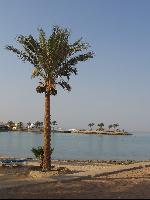 Hilton Resort.... ��������