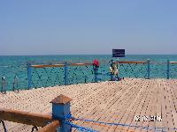 ������ � ����� - ���