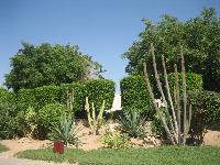 ���������!