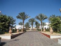 ����������� �������