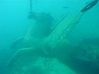 ���������� �������