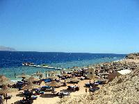 ���� ����� ������� ���