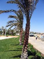 ���-�� ���� ��������� ����� ���� ����� ������� ���