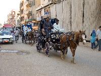 ������ ����� ����������