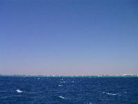 ��� ������� ����