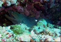 ����� ������� ������!