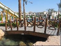 ���� �� ��������