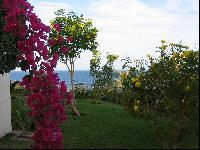 ���������� ����� ����� ������� 1