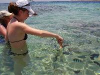 ��������� ��� �� ������