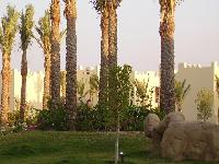 ��� �� ������ ������