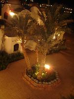 ������ �� ����������