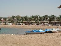 ���� ���� �����