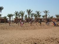 ������� ���������