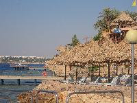 ����� ������ ����������� ����