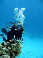 ��� ������ ����������