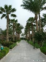 Shedwan Garden Beach