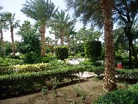 Shedwan Golden Beach