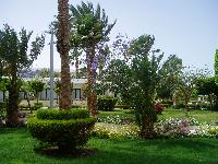 Shedwan Golden Beach